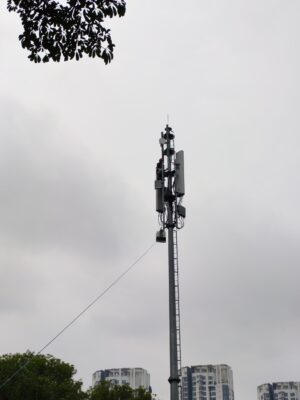 IMG_20260825_114144.jpg